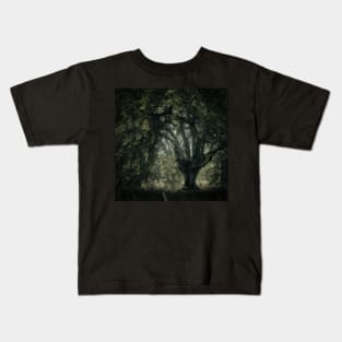 'Veneration', a notable beech tree, Highland Perthshire. Kids T-Shirt